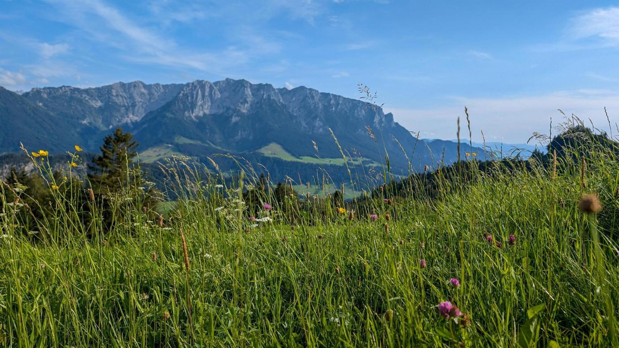 Bergapart Goetschl Rettenschoess Luaran gambar